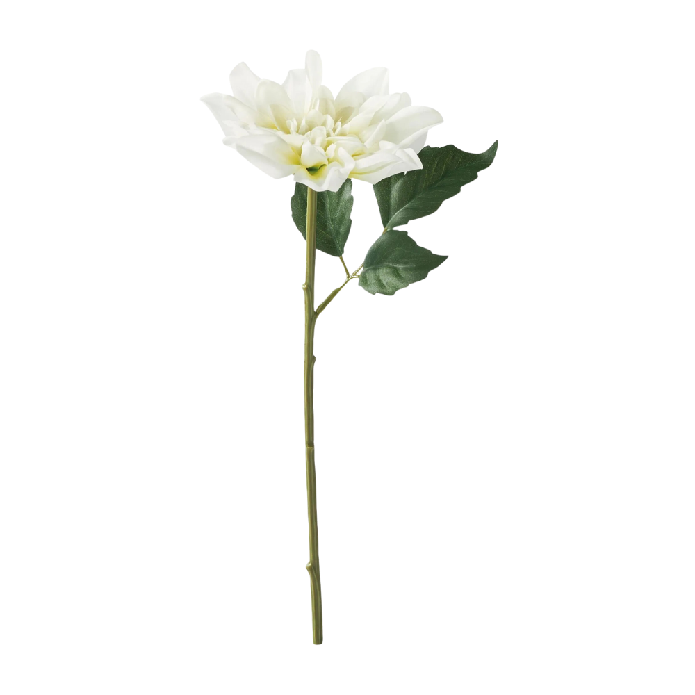IKE SMYCKA Yapay Çiçek Beyaz Yıldız Çiçeği 30 Cm 00588745