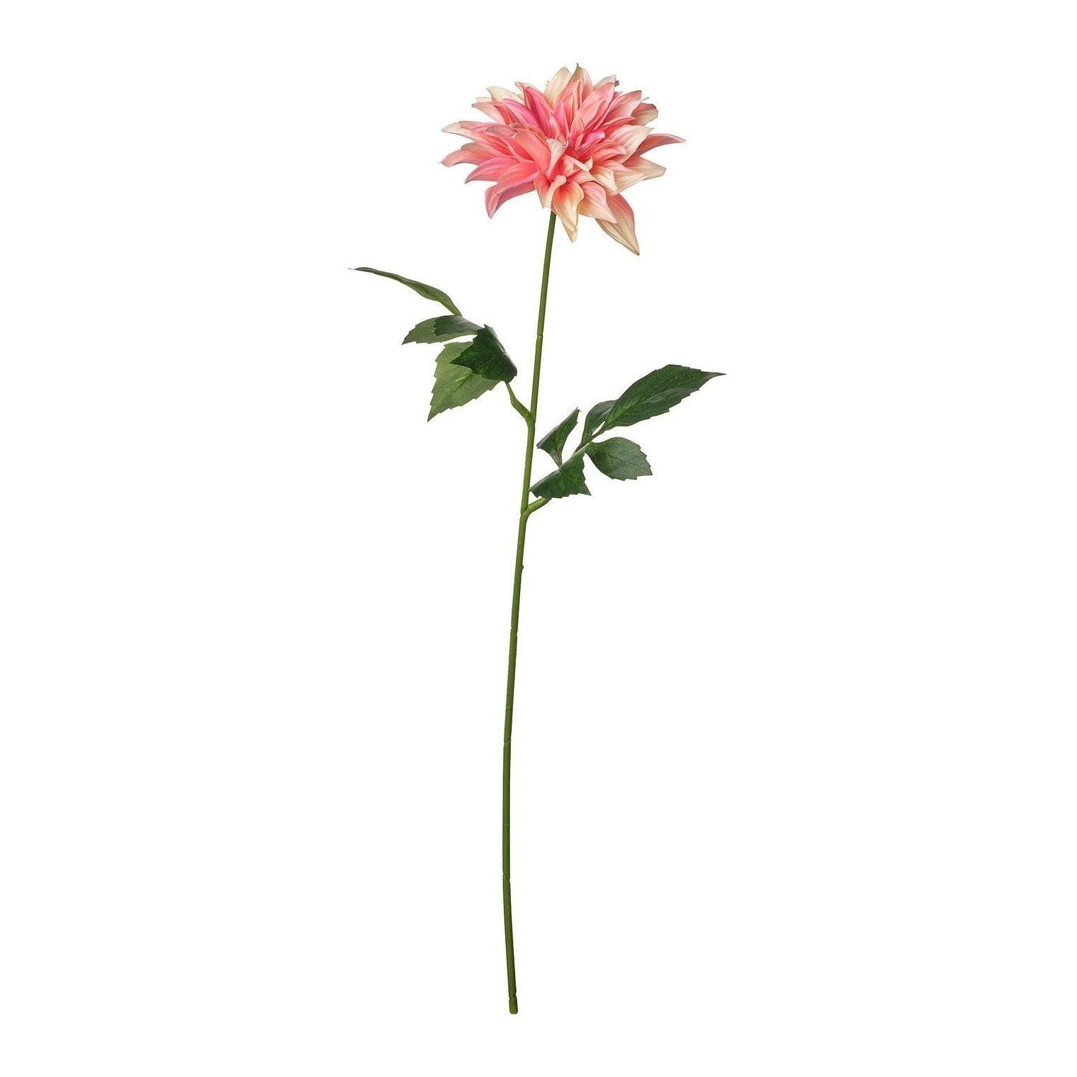IKE SMYCKA YAPAY ÇİÇEK PEMBE 65 CM YILDIZ ÇİÇEĞİ 20606060