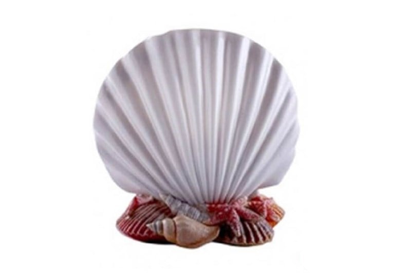 Primanova İnci Diş Fırçalık