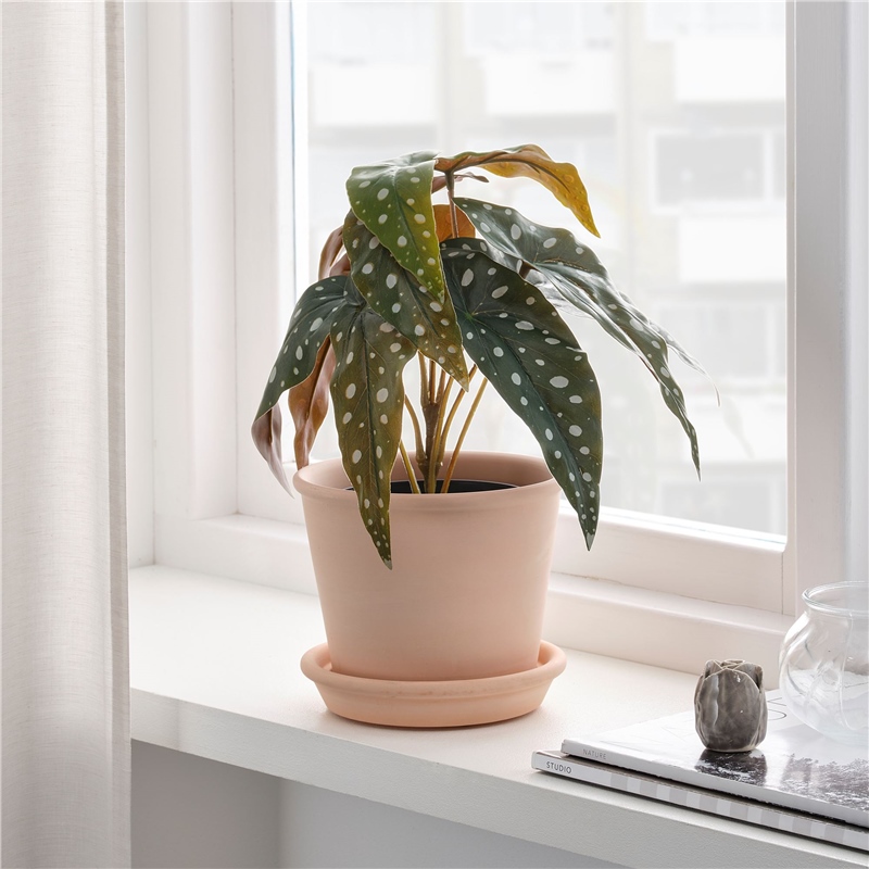 IKE FEJKA YAPAY BİTKİ BEGONYA 12 CM 20476129