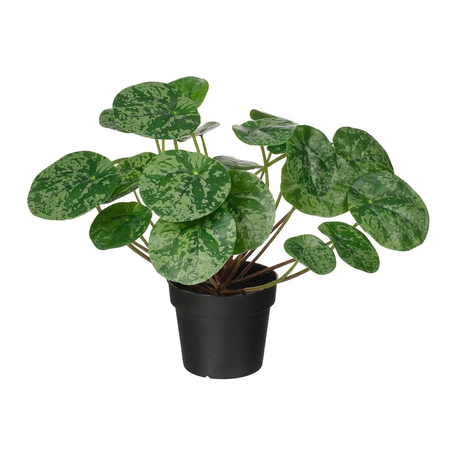IKE FEJKA YAPAY BİTKİ YEŞİL 9 CM PİLEA 30600859