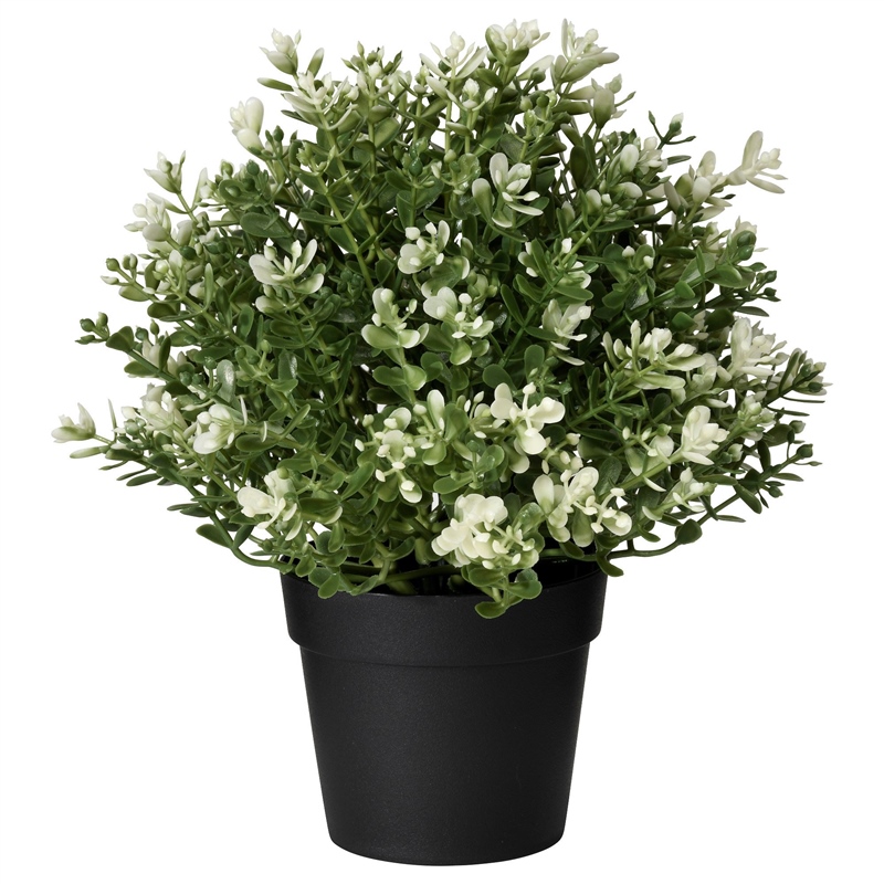 Ikea Fejka Kekik 90375155