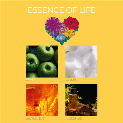 Frida Kahlo Essence Of Life 400 gr 3 Fitilli Kokulu Mum