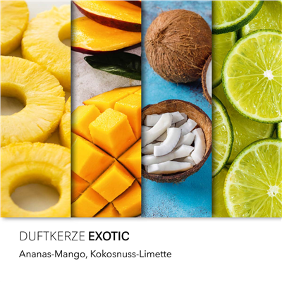 Haribo Exotic Kokulu Mum