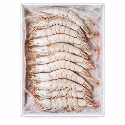     Kabuklu Karides 16/20 %30 Glaze – 10 Kg Koli