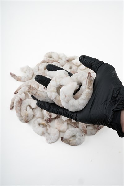 Kuyruklu Et Karides 21/25 | Donuk Temizlenmiş Karides (10 kg)