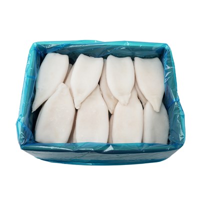 Gigas Zarsız Tüp Kalamar %10 Glaze 10 kg Koli