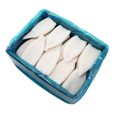 Gigas Zarsız Tüp Kalamar %10 Glaze 10 kg Koli