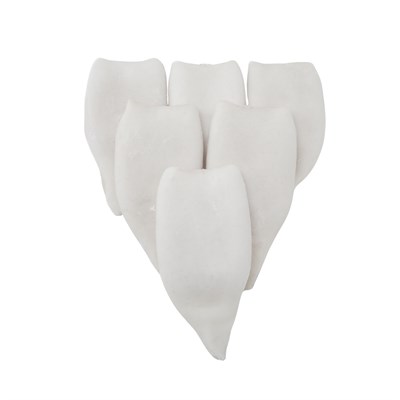 Gigas Zarsız Tüp Kalamar %30 Glaze 10 kg Koli