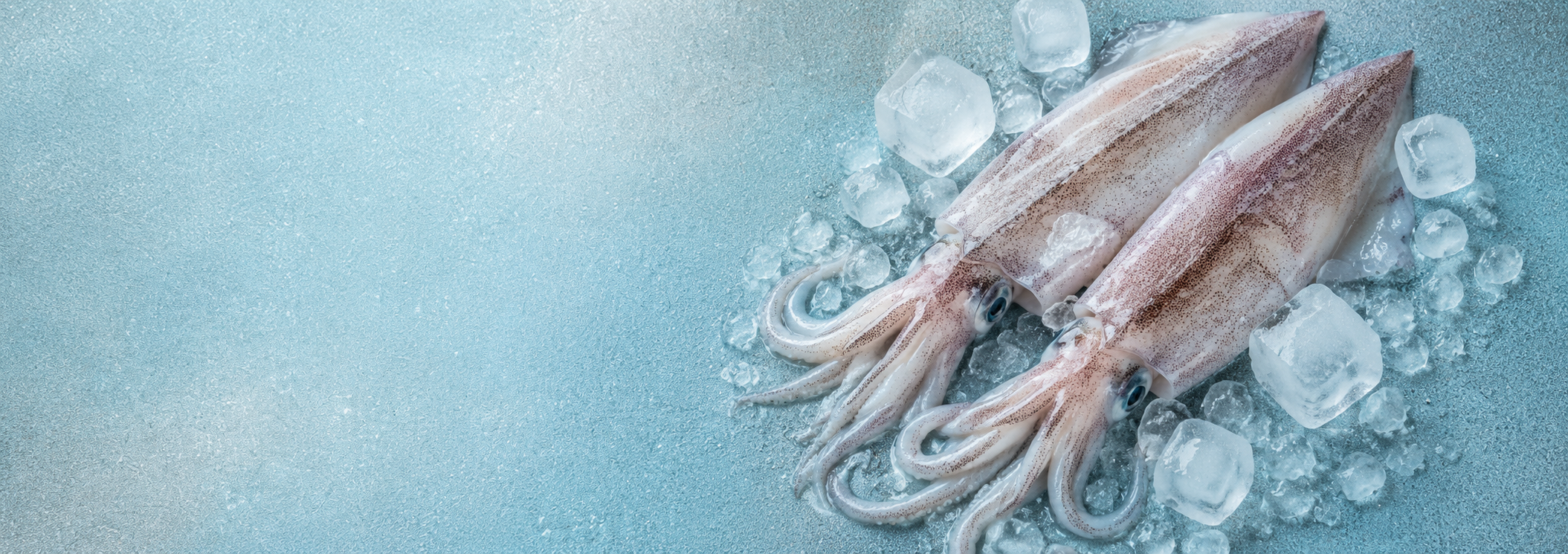 KALAMAR 