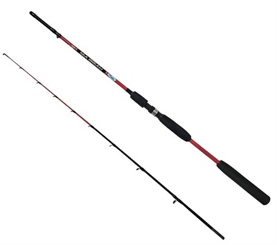 Balıkçı Tekne Seti Kendo Sea Power 5000 Olta Makinesi-Kendo Sea Bream 1.80m up to 150gr 2 Parça Olta Kamışı-2 Fosfor-2 Şamandıra-5x 50gr Kurşun-4 Çapari