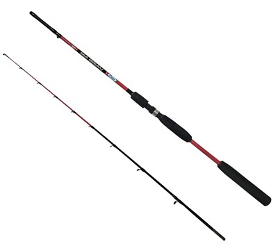 Balıkçı Tekne Seti Kendo Sea Power 6000 Olta Makinesi-Kendo Sea Bream 1.65m up to 150gr 2 Parça Olta Kamışı-2 Fosfor-2 Şamandıra-5x 50gr Kurşun-4 Çapari