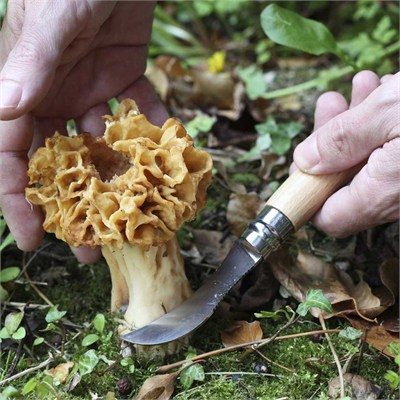 Opinel N°8 Mantar Çakısı
