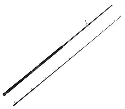Savage Gear Defiance SG2 Shore Jig 2.90m 20-80gr 2 Parça Olta Kamışı
