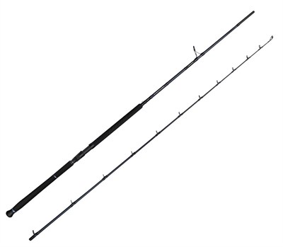 Savage Gear Defiance SG2 Shore Jig 2.90m 50-120gr 2 Parça Olta Kamışı
