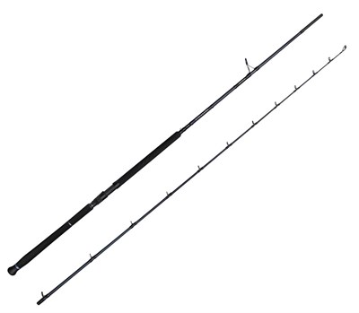 Savage Gear Defiance SG2 Shore Jig 2.90m 20-80gr 2 Parça Olta Kamışı