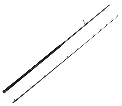 Savage Gear Defiance SG2 Shore Jig 3.05m 30-100gr 2 Parça Olta Kamışı