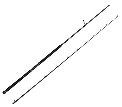 Savage Gear Defiance SG2 Shore Jig 3.05m 60-150gr 2 Parça Olta Kamışı
