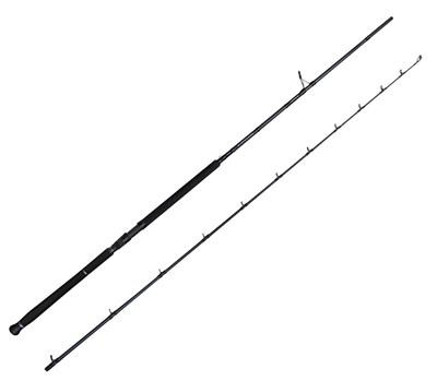 Savage Gear Defiance SG2 Shore Jig 3.05m 60-150gr 2 Parça Olta Kamışı