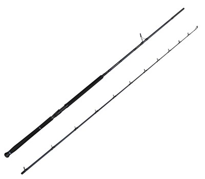 Savage Gear Defiance SG2 Shore Jig 3.05m 30-100gr 2 Parça Olta Kamışı
