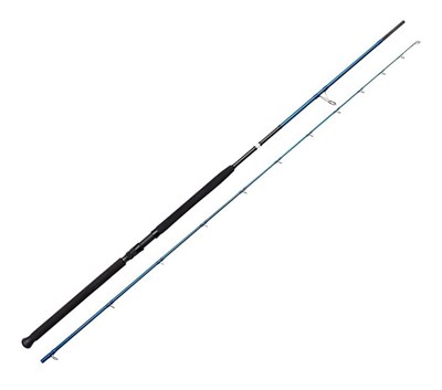Savage Gear SGS2 Shore Jigging 10/3.05m 60-150 gr 2 Parça