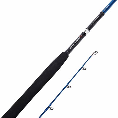 Savage Gear SGS2 Shore Jigging 10/3.05m 60-150 gr 2 Parça