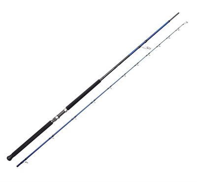Savage Gear SGS6 Shore Jigging 10/3.05m 30-100 gr 2 Parça