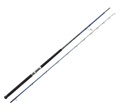 Savage Gear SGS6 Shore Jigging 10/3.05m 30-100 gr 2 Parça