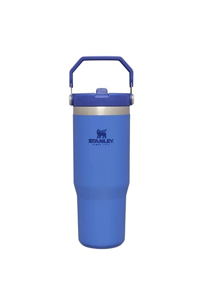 Stanley The IceFlow Flip Straw Pipetli Termos Bardak 0,89 LT
