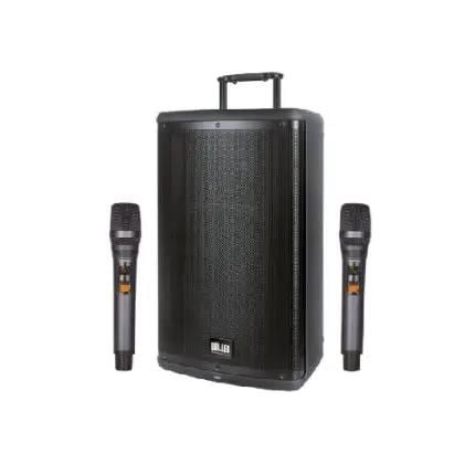 WÖLLER W-1540DSP İKİ  MİKROFONLU 38CM PORTATİF KABİN HOPARLÖR