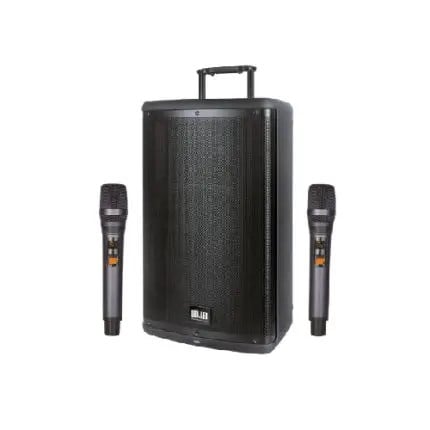 WÖLLER W-1540DSP İKİ  MİKROFONLU 38CM PORTATİF KABİN HOPARLÖR