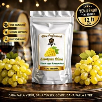 Wine Profesyonel Üzüm Konsantresi Kit Sauvignon Blanc 12lt 