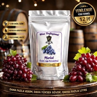 Wine Profesyonel Üzüm konsantresi Kit MERLOT 12lt