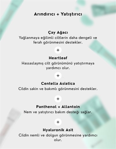 3x TeaTree Boosting Modeling Mask | Gözenek Sıkılaştırıcı Soyulabilir Toz Maske