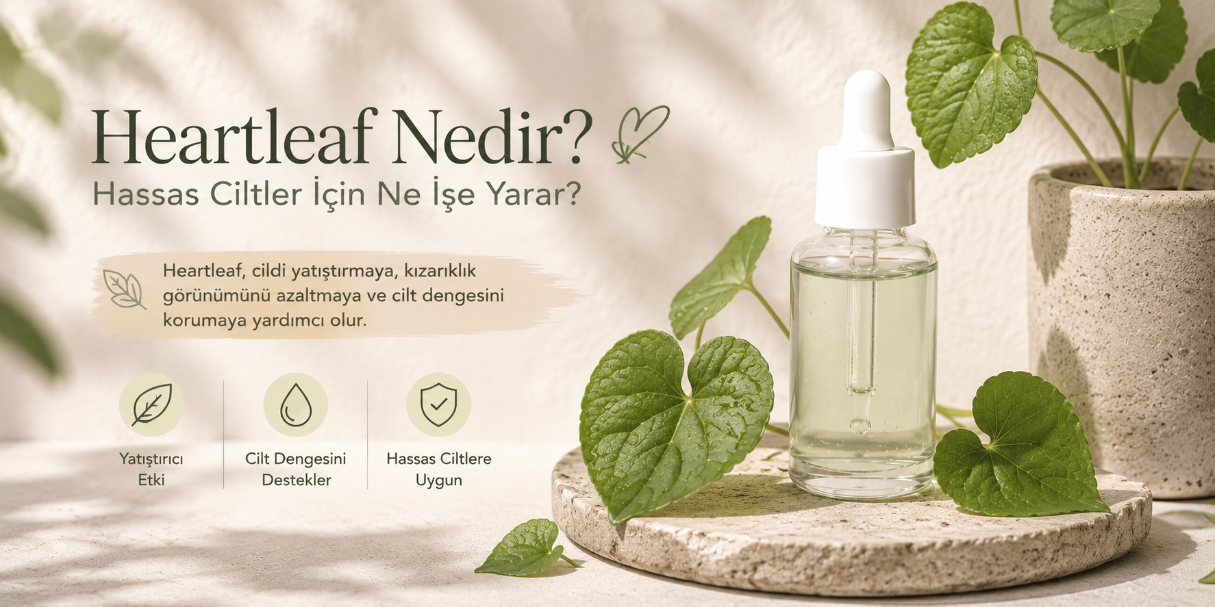 Heartleaf Nedir?