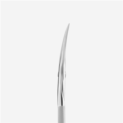 STALEKS BEAUTY & CARE 10 TYPE 1 Tırnak Eti Mat Makası