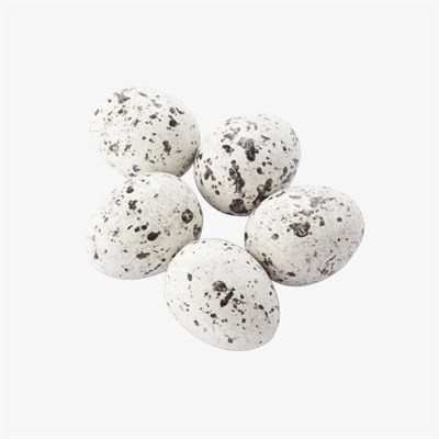 Sütlü Renkli Bıldırcın Draje  2,5 kg