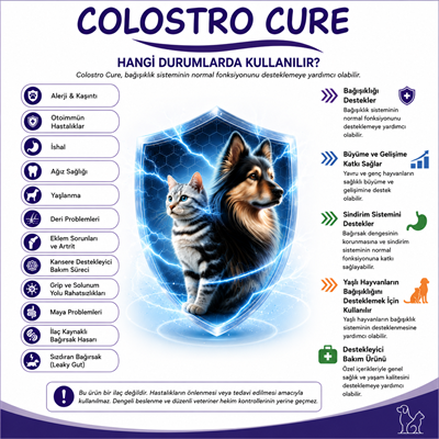 Colostro Cure / İmmun Destek