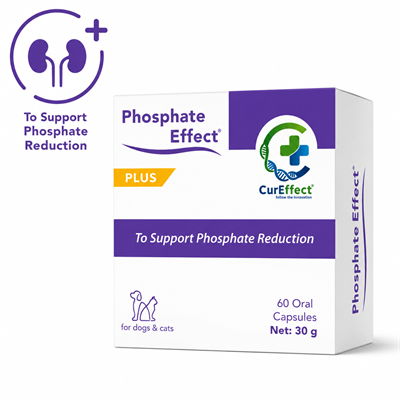 Phosphate Effect