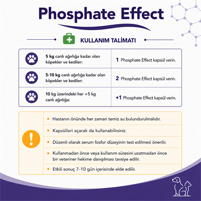 Phosphate Effect (Fosfor Dengeleyici)