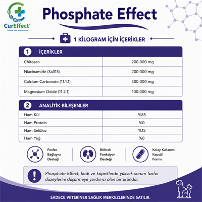 Phosphate Effect (Fosfor Dengeleyici)