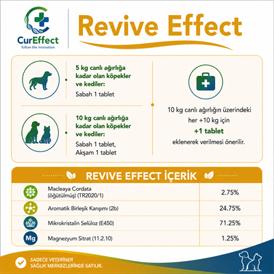 Revive Effect (Karaciğer Sağlığı Destekleyicisi)