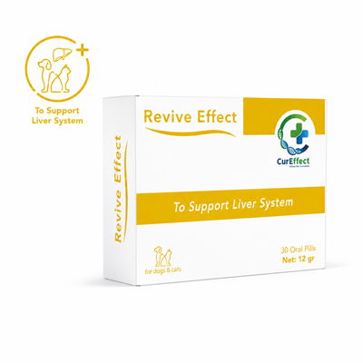 Revive Effect