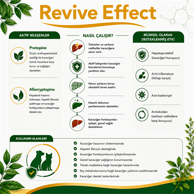 Revive Effect (Karaciğer Sağlığı Destekleyicisi)