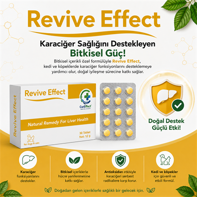 Revive Effect (Karaciğer Sağlığı Destekleyicisi)