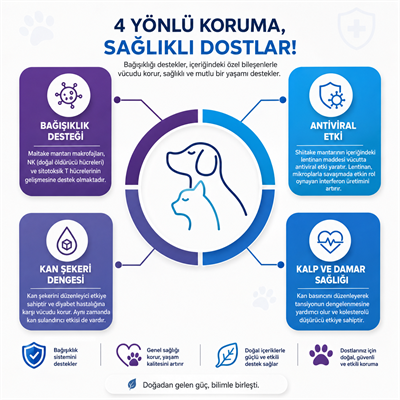 Smart Body Effect (Onkolojik Süreç Desteği)