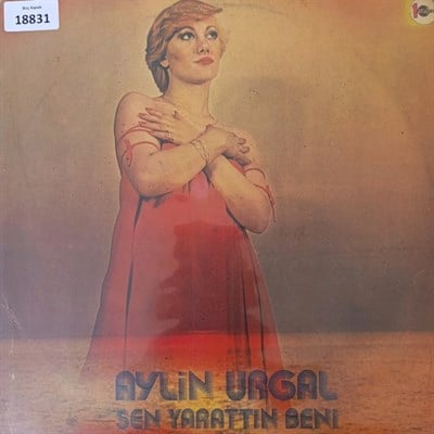 sadece-kapak-aylin-urgal-sen-yarattin--26ebf1.jpg