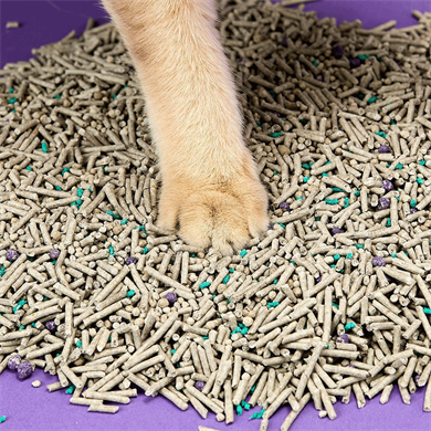 Petkit 5i 1 Arada Aktif Karbonlu Kedi Kumu