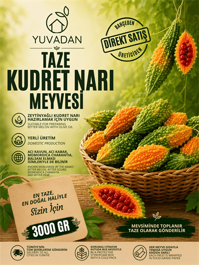 Taze Kudret Narı Meyvesi | 3000 gram