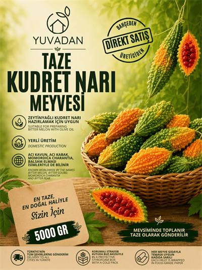 Taze Kudret Narı Meyvesi | 5000 gram